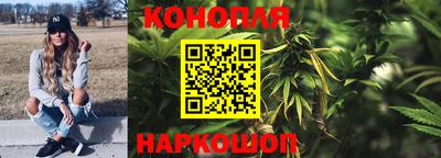 PSILOCYBIN Будённовск