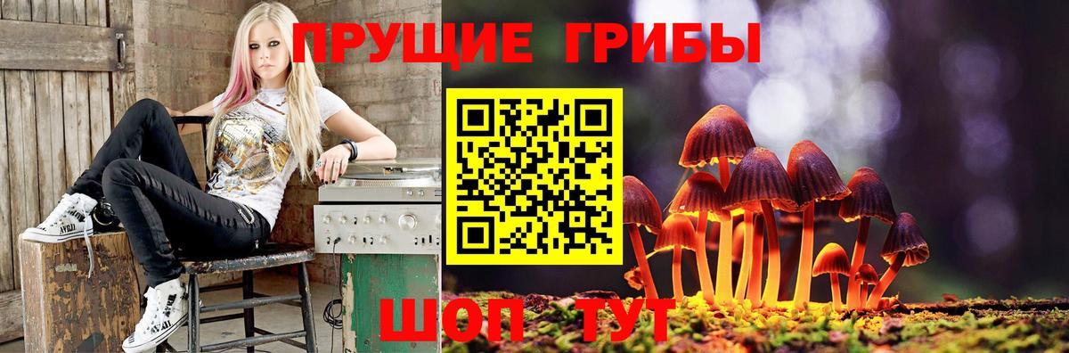 Галлюциногенные грибы GOLDEN TEACHER  Вход с VPN  Сыктывкар 