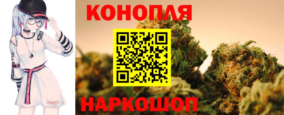 Бошки марихуана индика  Конопля планчик  Марихуана VHQ  Сыктывкар  Вход с VPN 